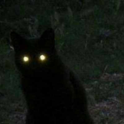 1coin2coin's profile picture. GG