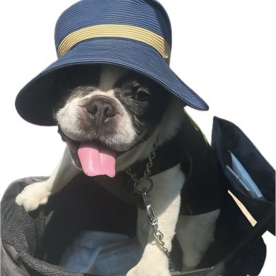 D7284375848853's profile picture. 「自分を否定しない恋」を応援してます。話すことで心が軽くなる、そんな相談を目指してます。ココナラ×心理カウンセラー×元テレビ人。 LINEからもどうぞ👉 https://t.co/2ISOb4KFlR