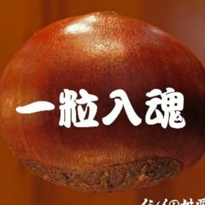 創業1954年🌰甘栗専門店🌰毎日店舗でその日の分を焼いてお届けしています🌰スカイツリー🗼近く🌰墨田区で40年以上営業しています🌟