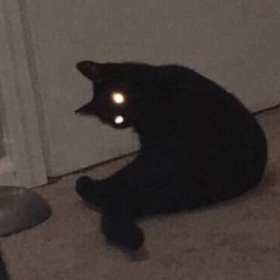 imJakeZSR's profile picture. 23 | professional