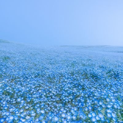 2pnYFwORqN17616's profile picture. にじさんじ/めめ村/東方project好き