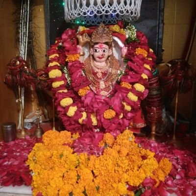 Jaydip1678887's profile picture. 