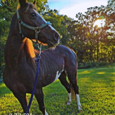 hair_chief's profile picture. Big Vibe Tribe