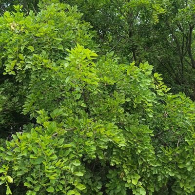 NaveenK95658069's profile picture. 