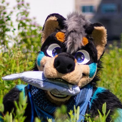 Kayne Ein/Koi (kayne-ein.bsky.social) 🔜 MFF | FCさんのプロフィール画像