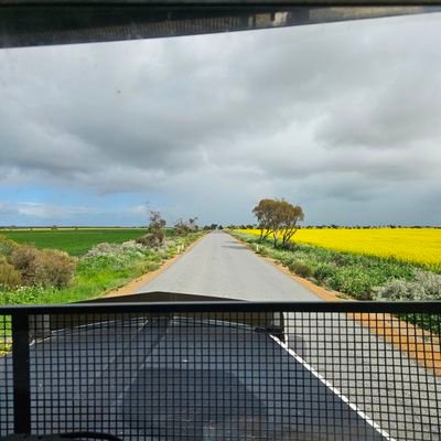 GJerem43135's profile picture. Sales and Service at Grainking. Chaser bins, mother bins, seed and super bins.
