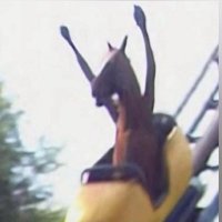 cmoefrmtheo (@freecmoefrmthao) 's Twitter Profile