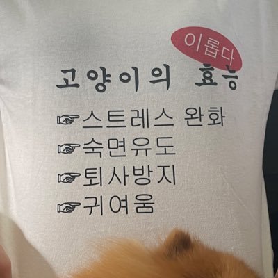 107さんのプロフィール画像