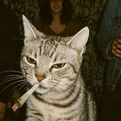 realpiggypay's profile picture. I’m always sending🤑 NO FEES