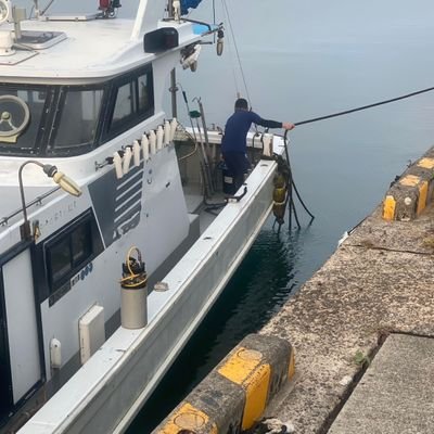 turisyoushimano's profile picture. 主にジギング、タイラバをしています。
釣りをしてる人なら誰でもフォローしてください。情報の交換とかしたいです。
１級小型船舶操縦士免許を取得しました。


元トラクターオペレーター➡️現養豚農家