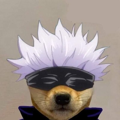 DogeLifterJay's profile picture. Charts over hype || Bags over memes || So amaze. Much discipline. #DogecoinArmy