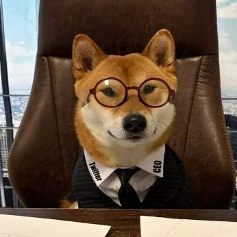 Shiba Inu made me do it // i tweet about dusty code, forgotten forums, and sometimes books // i call my mom too