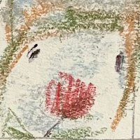 icysturzwelle (@adfaciemn) 's Twitter Profile Photo