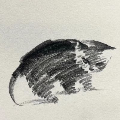 zufdydb11A0mXG9's profile picture. 过期大学生，跑路中
