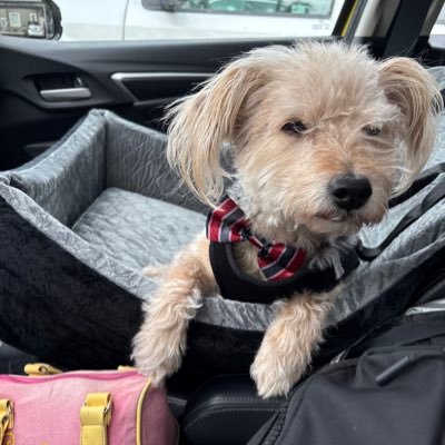 unpackingboxes's profile picture. pisces, so everything you heard is true