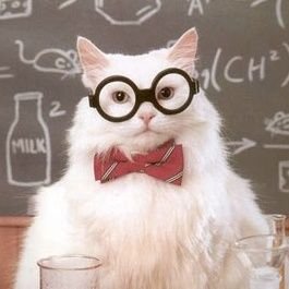 Sambahadur987's profile picture. I'm a Good Guy