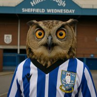 YorkshireOwl (@upthebloodyowls) 's Twitter Profile Photo YorkshireOwl (@upthebloodyowls) 's Twitter Profile Photo