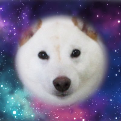 2024年7月6日生まれの♂のまめです🐻❄️本当は豆柴なのですが柴犬サイズになりました!飼い主は初心者のため至らない点もあるかと思いますが、仲良くしてくださると嬉しいです🙇♀️