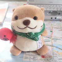 とうぴゃん (@kadotapapyo) 's Twitter Profile