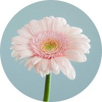 Zane Granger (@webaccessguy) 's Twitter Profile