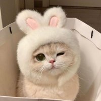 🎀 (@naxux12_) Twitter profile photo