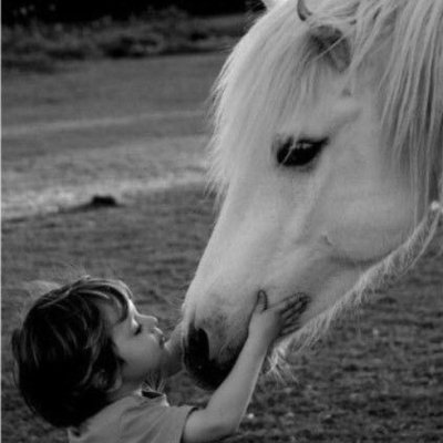 7233natumi's profile picture. 