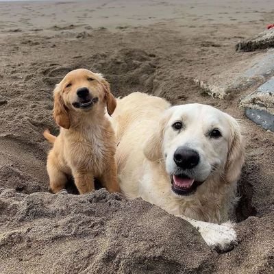 BenjReyes430606's profile picture. 