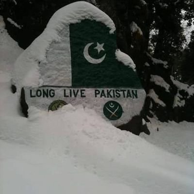 ZargooN19832's profile picture. HOLY Quran