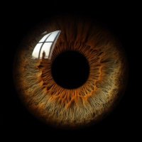 Furkan (@n5b5d5) 's Twitter Profile Photo