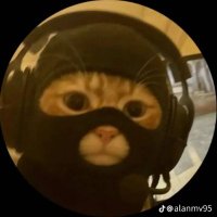 E (@_lndrgr) 's Twitter Profile