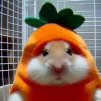 Ray (@ray78320111) 's Twitter Profile