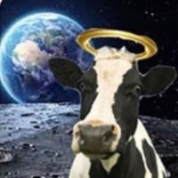 치요 (@dok1mek1) 's Twitter Profile Photo