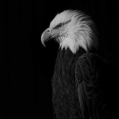 KulivaPoter's profile picture. #ecom_man
#cryptonites 
#phylanthrope  #millionaire 💧 $