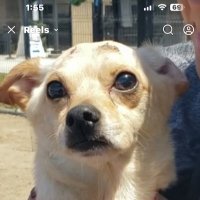 Chyanne (@chyanne1107) 's Twitter Profile