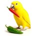خبر ایکس (@chmky1) Twitter profile photo خبر ایکس (@chmky1) Twitter profile photo