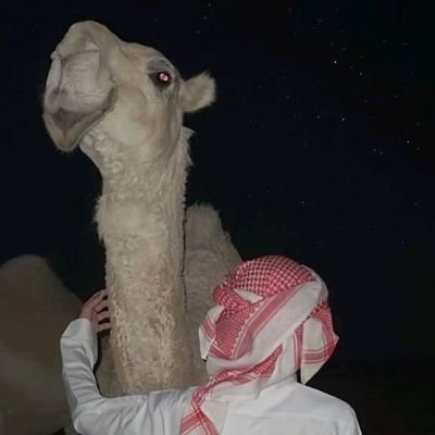 لسنا لأَحَدٍ ؛ إنا للهِ وإنّّا إليه رَاجِعُون..♥️
اللهم لك الحمد