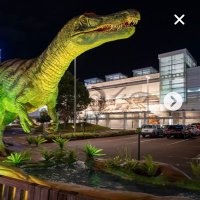 信教の自由を守る福井県民の会 (@shinkyoufukui) Twitter profile photo