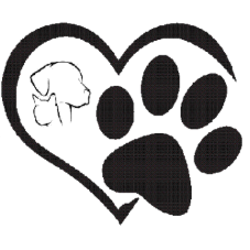 Pets are cherished family members.
Your pet's health is our heart.