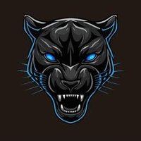 Black tiger 🐯 (@roxjoni16666) 's Twitter Profile Photo