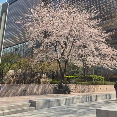 june15605156's profile picture. 인문 철학 정치 종교