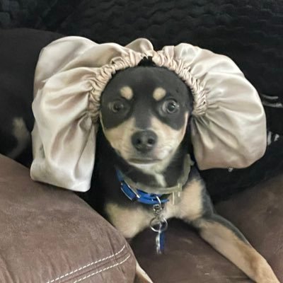 animalfarmhero's profile picture. imma pig all day, but I run the farm at night 🐷 | just here to unite God’s people ☀️♎️🕊️☮️