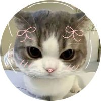 isel cantik (@jtiselle) 's Twitter Profile Photo