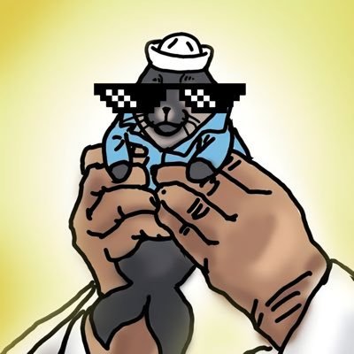 안쭌さんのプロフィール画像