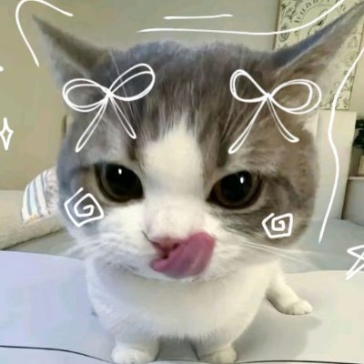 maisthv1234's profile picture. 