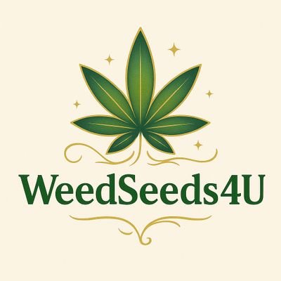 🌿 Natürlich. Ehrlich. Effektiv. CBD, CBD+ & CBG aus Teneriffa für natürliche Schmerzlinderung. Infos & Angebote: Telegram & Newsletter
