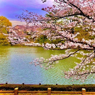 guratan_study's profile picture. 06 経済学部がお勉強するだけのアカウント 25.7~cpa梅田校 27年度公認会計士合格目標