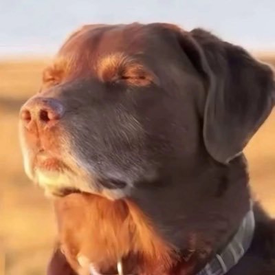 1_DKcs's profile picture. 