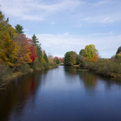 xiaozhong_busg's profile picture. 