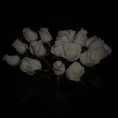 tomo012631's profile picture. 