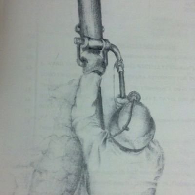 smashedminer's profile picture. 